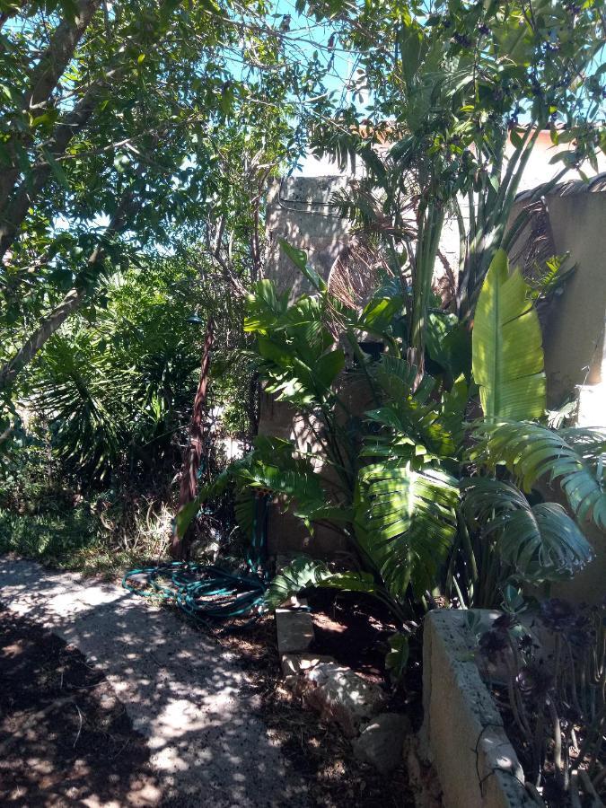 Arthouse Campos Mit Haus Galeria 110Qm Und Appartementhaus Mit Patio 30Qm 외부 사진